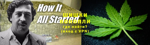 сатива Алексеевка