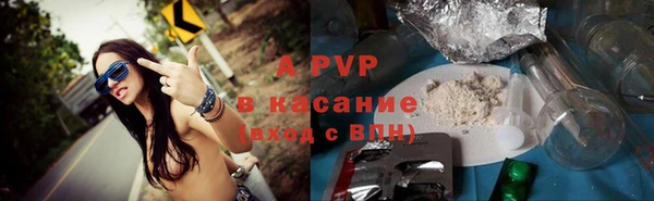 сатива Алексеевка