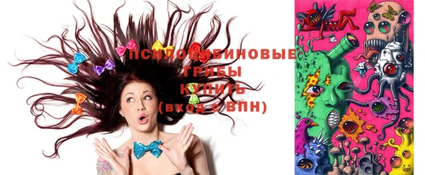 сатива Алексеевка