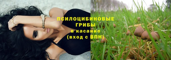 сатива Алексеевка